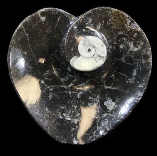 Heart Shaped Fossil Goniatite Dish #39293